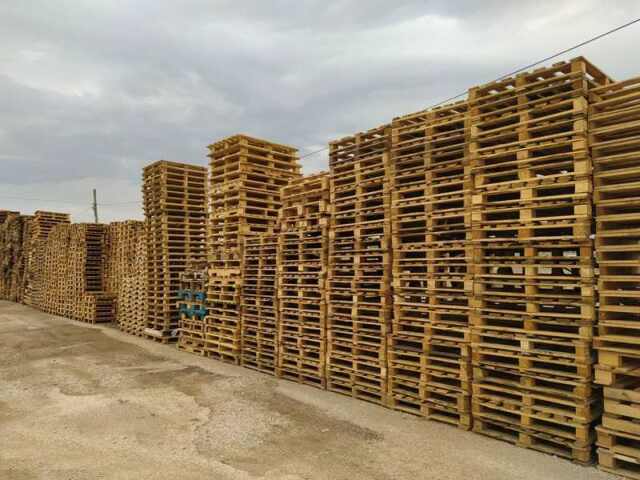 Meşe; Ankara ikinci el palet satışı, ikinci el ahşap palet, tahta palet, ikinci el palet fiyatları, paletçi,